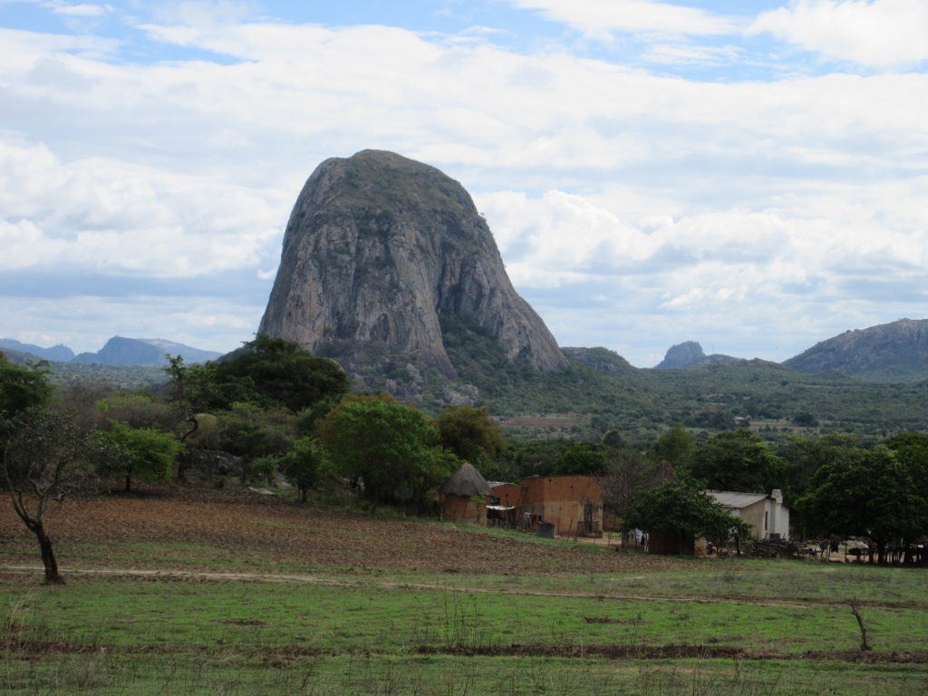 Freedom farming: historical continuities with land occupations in ...