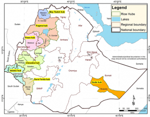 What is the future for rice as a strategic crop in Ethiopia? – Future ...