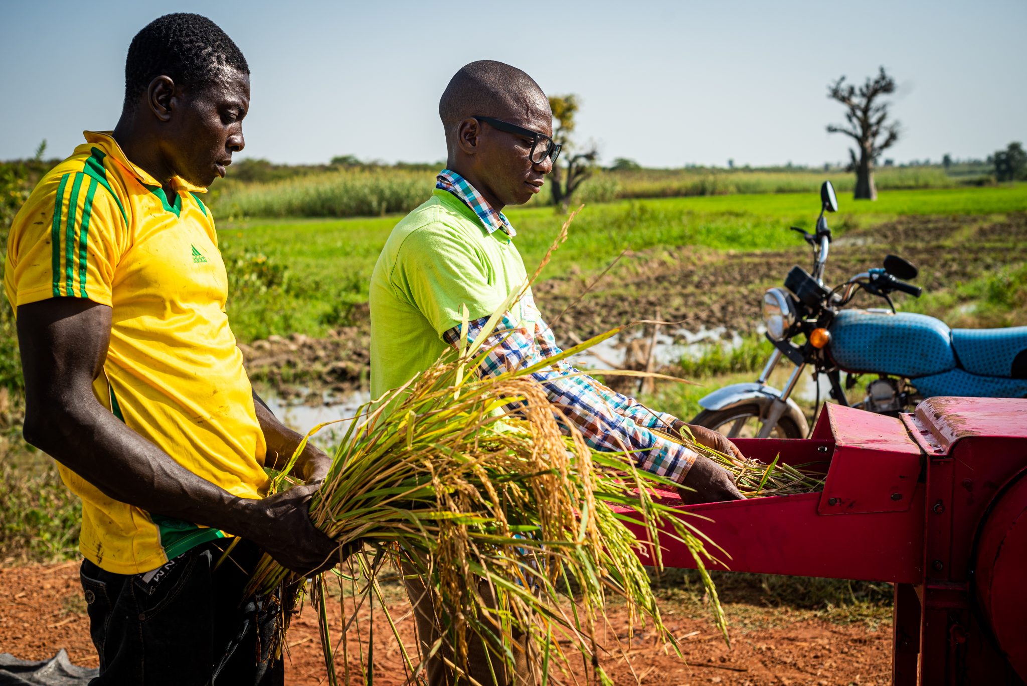 How Important Is Farm Size To Agricultural Productivity In Sub Saharan 