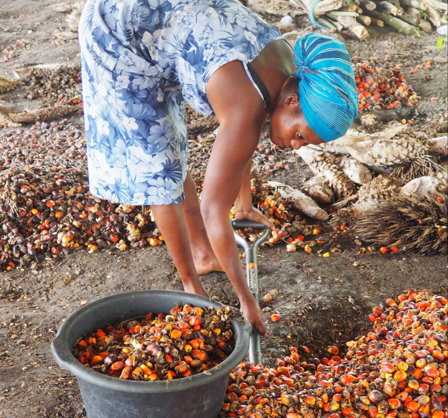 food security in ghana thesis